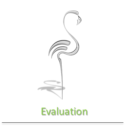 flamingo-nxt-evaluation-verona-mr-services